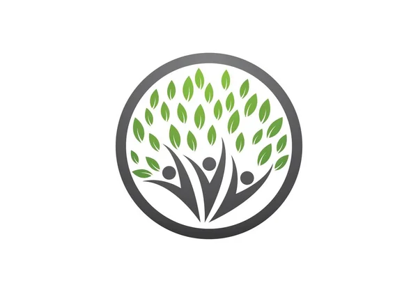 Soy Ağacı Simgesi Logo Tasarım Şablonu — Stok Vektör