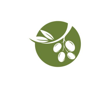 Zeytin logosu şablon vektör resimleme tasarımı