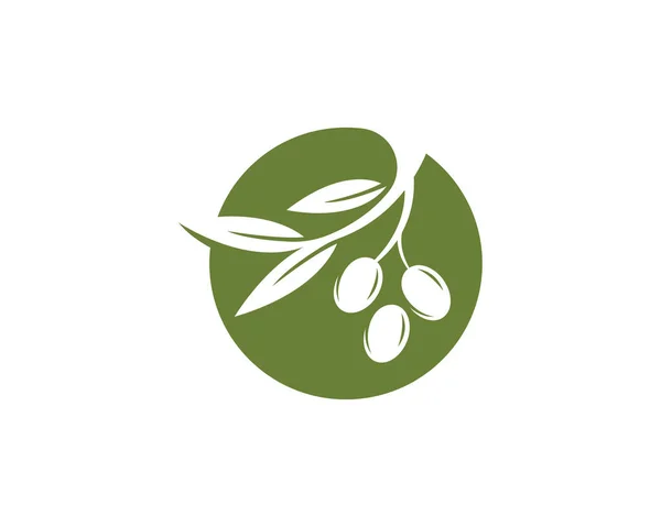 Olive Logo Vorlage Vektor Symbol Illustration Design — Stockvektor