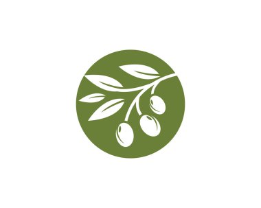 Zeytin logosu şablon vektör resimleme tasarımı