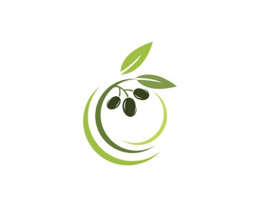 Zeytin logosu şablon vektör resimleme tasarımı