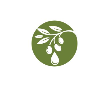 Zeytin logosu şablon vektör resimleme tasarımı