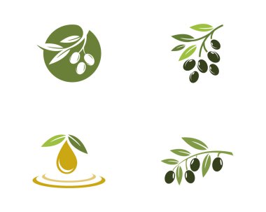 Zeytin logosu şablon vektör resimleme tasarımı