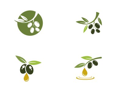 Zeytin logosu şablon vektör resimleme tasarımı