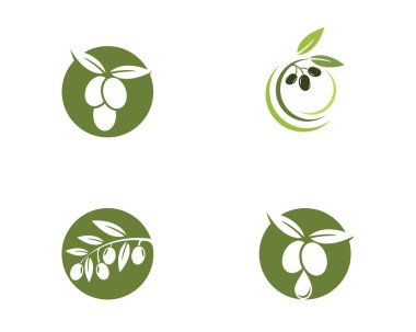 Zeytin logosu şablon vektör resimleme tasarımı