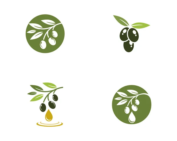 Olive Logo Modèle Vectoriel Icône Illustration Design — Image vectorielle