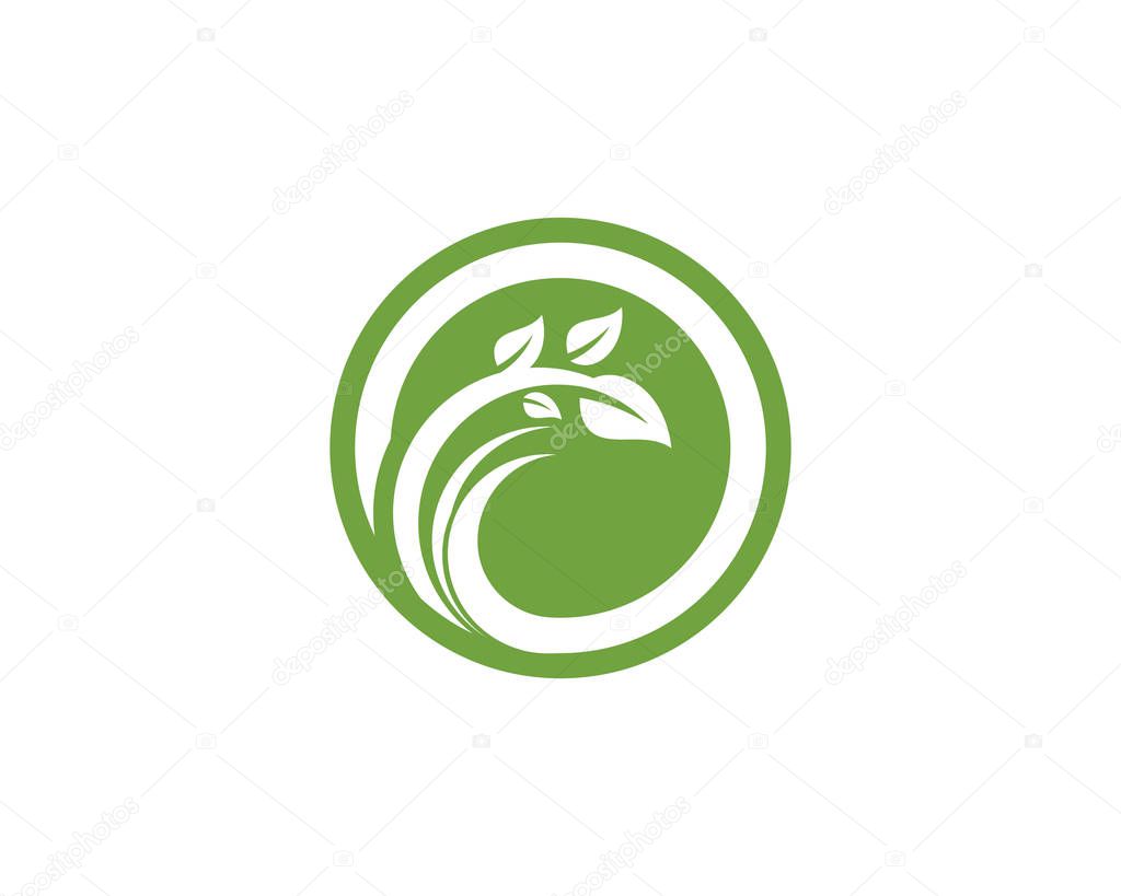 Logos of green Tree leaf ecology nature element vector