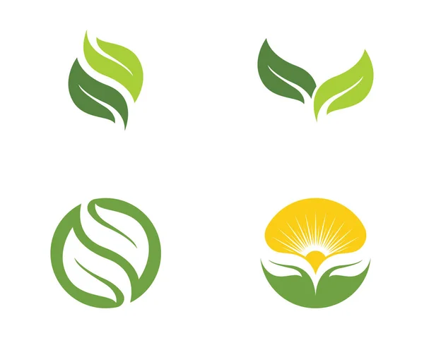 Logo Van Groene Boomblad Ecologie Natuur Element Vector — Stockvector