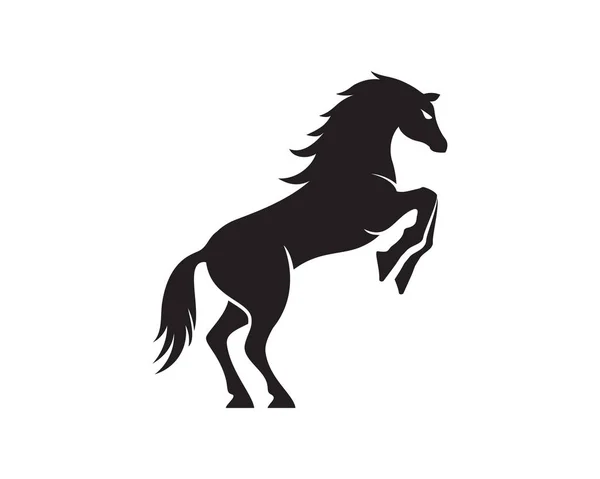 Cavalo Logotipo Modelo Ícone Vetor Ilustração Design — Vetor de Stock