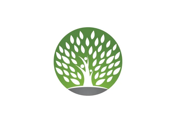 Soy Ağacı Simgesi Logo Tasarım Şablonu — Stok Vektör