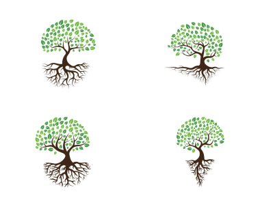 Yeşil ağaç yaprağı ekoloji doğa elementi vektörü logoları
