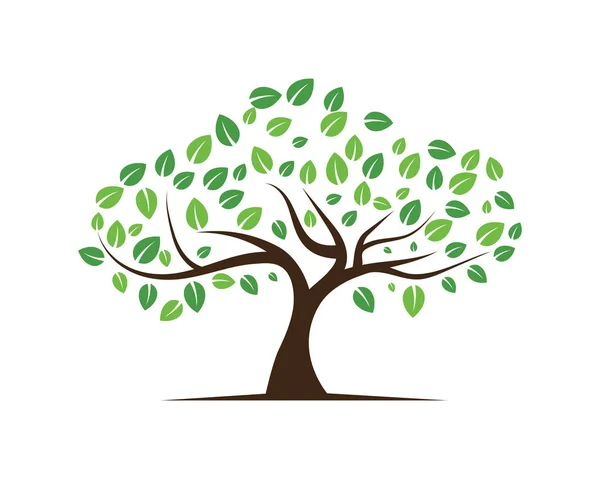 Logos Vert Feuille Arbre Écologie Élément Nature Vecteur — Image vectorielle