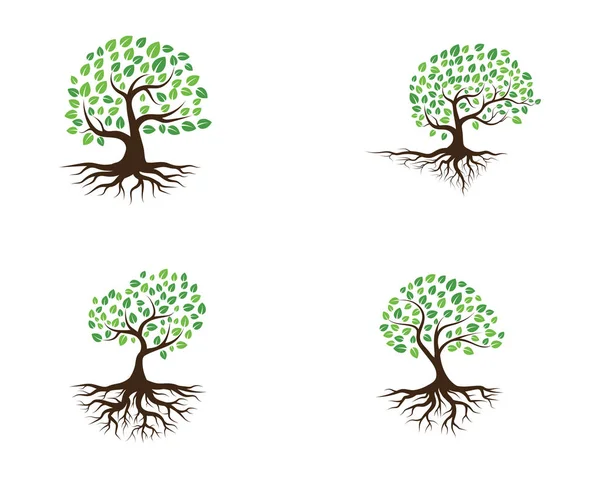Логотипы Вектора Природных Элементов Листьев Зеленого Дерева — стоковый вектор