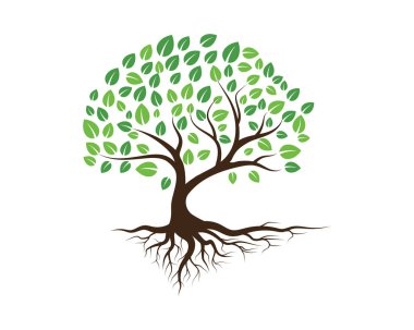 Yeşil ağaç yaprağı ekoloji doğa elementi vektörü logoları