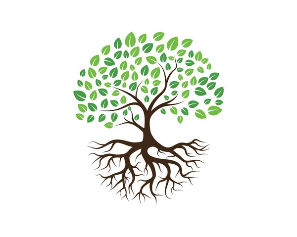 Logos Verde Albero Foglia Ecologia Natura Elemento Vettore — Vettoriale Stock