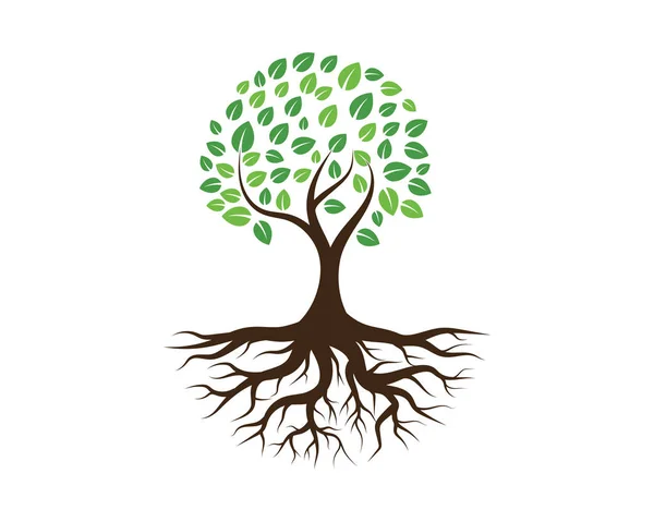 Yeşil Ağaç Yaprağı Ekoloji Doğa Elementi Vektörü Logoları — Stok Vektör