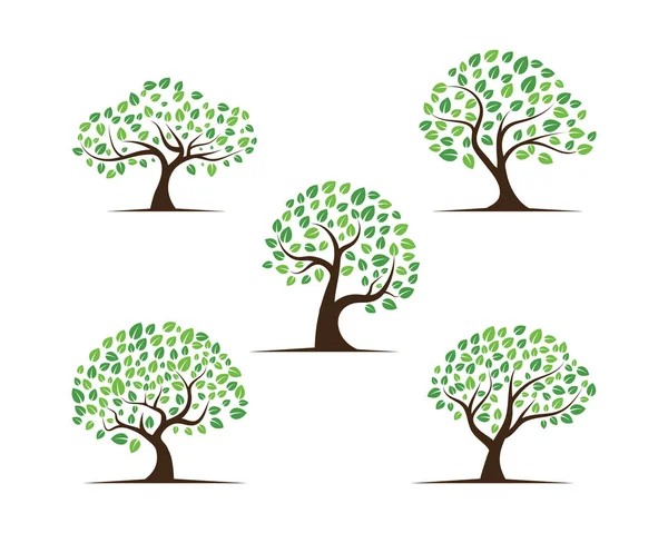 Logos Vert Feuille Arbre Écologie Élément Nature Vecteur — Image vectorielle