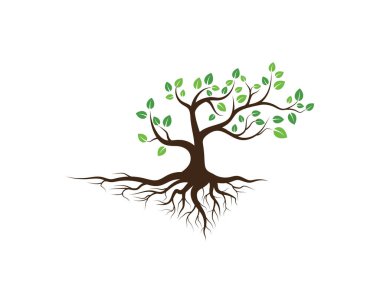Yeşil ağaç yaprağı ekoloji doğa elementi vektörü logoları