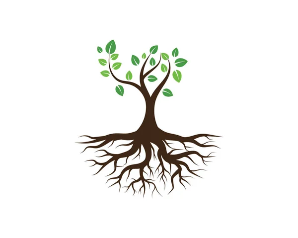 Yeşil Ağaç Yaprağı Ekoloji Doğa Elementi Vektörü Logoları — Stok Vektör