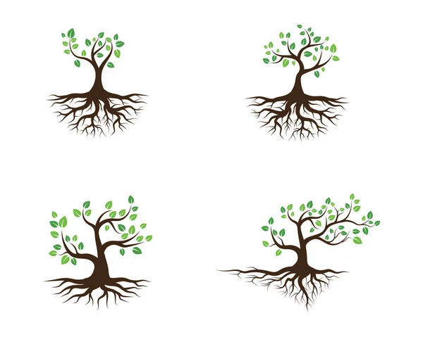 Logos Vert Feuille Arbre Écologie Élément Nature Vecteur — Image vectorielle