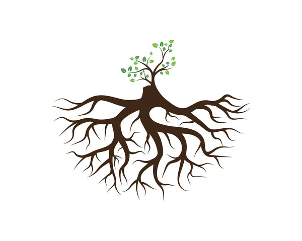 Logos Verde Árvore Folha Ecologia Natureza Elemento Vetor —  Vetores de Stock