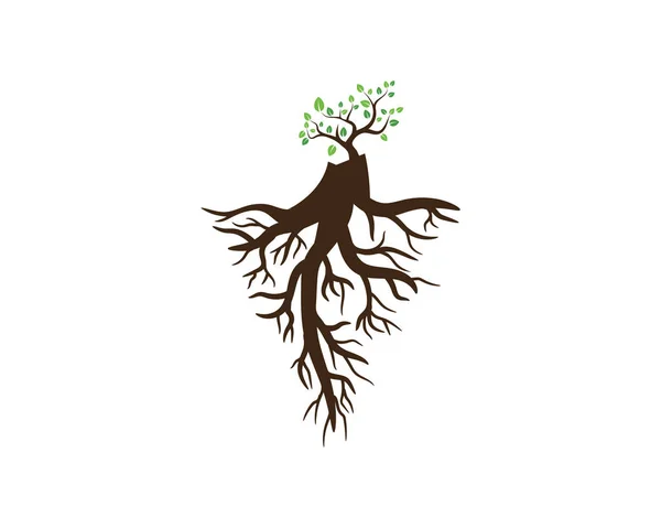 Logos Verde Albero Foglia Ecologia Natura Elemento Vettore — Vettoriale Stock