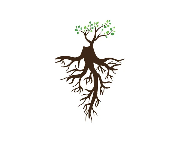 Logo Uri Verde Ecologie Frunze Copac Element Natural Vector — Vector de stoc