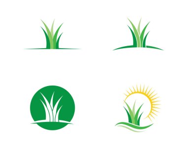 Vektör yeşil çim eko doğal illüstrasyon tasarımı