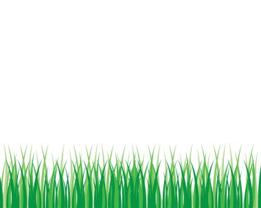 Vektör yeşil çim eko doğal illüstrasyon tasarımı