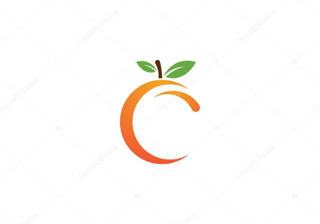 Orange logo design Vector illustration