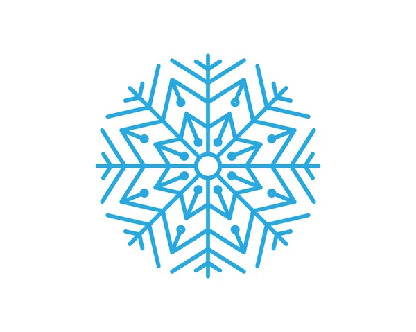 Snöflingor Stil Design För Etiketter Märken Och Ikoner Vintern Frozen — Stock vektor