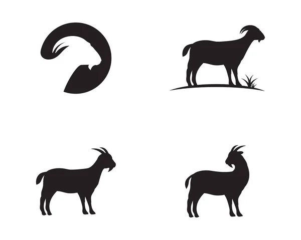 Goat Logo Template Vetor Ícone Ilustração Design — Vetor de Stock