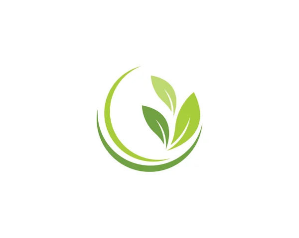 グリーン ツリー リーフ生態自然のロゴ — ストックベクタ