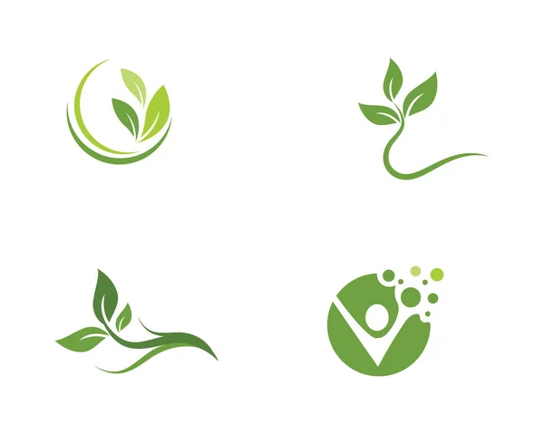 Λογότυπα Της Καταπράσινης Φύσης Οικολογία Φύλλα Δέντρων — Διανυσματικό Αρχείο