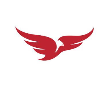 Falcon Logo Şablonu vektör çizimi tasarımı