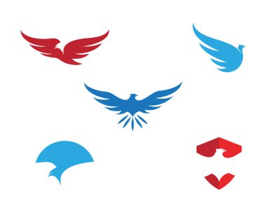 Falcon Logo Şablonu vektör çizimi tasarımı