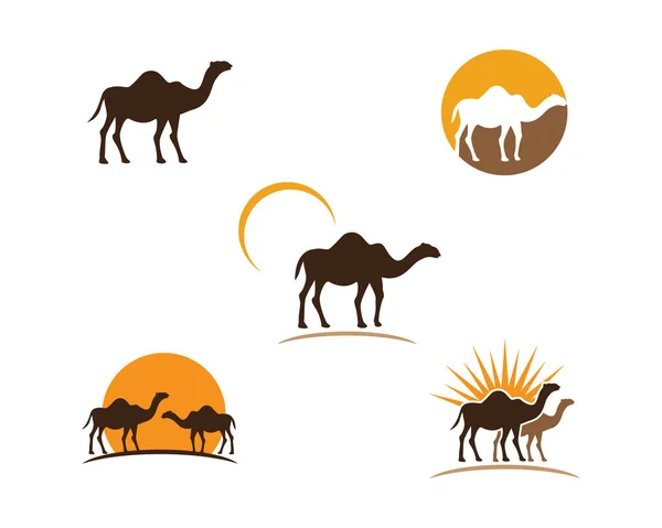 Camel Icon Vector Illustratie Ontwerp — Stockvector