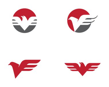 Falcon Logo Şablonu vektör çizimi tasarımı