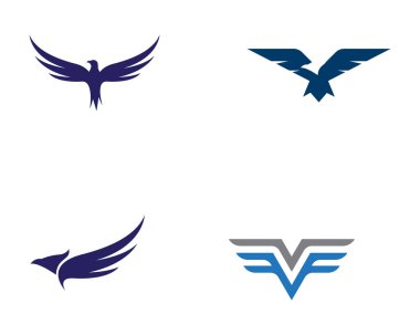 Falcon Logo Şablonu vektör çizimi tasarımı