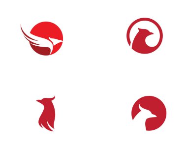 Falcon Logo Şablonu vektör çizimi tasarımı
