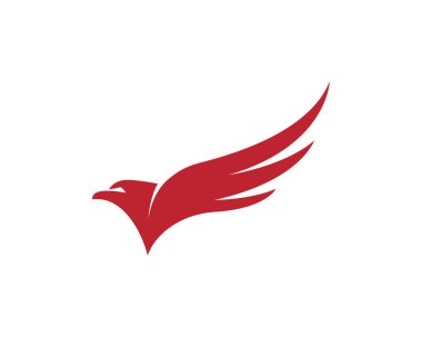 Falcon Logo Şablonu vektör çizimi tasarımı
