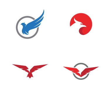 Falcon Logo Şablonu vektör çizimi tasarımı
