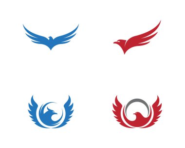Falcon Logo Şablonu vektör çizimi tasarımı