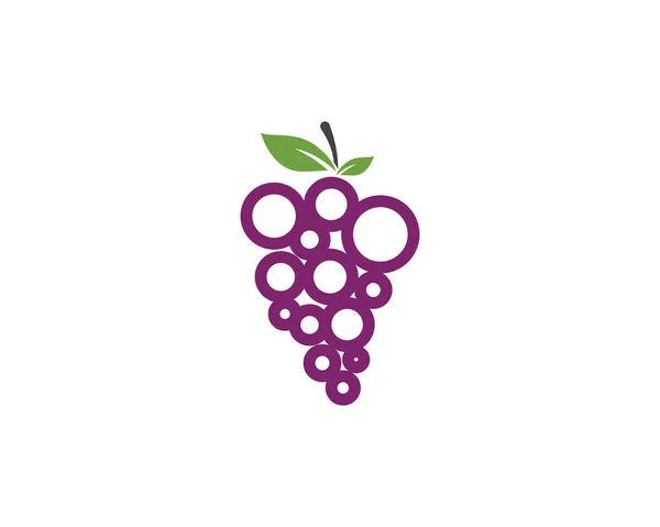 Grapes Logo Template Vector Icon Illustration Design — Stock Vector