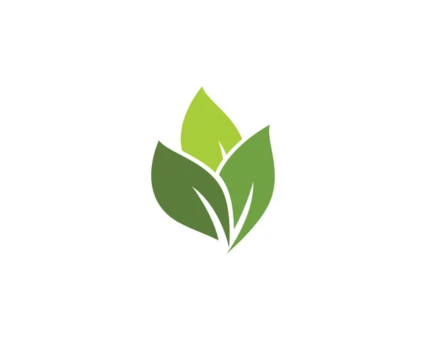 Logos Vert Feuille Arbre Écologie Élément Nature Vecteur — Image vectorielle