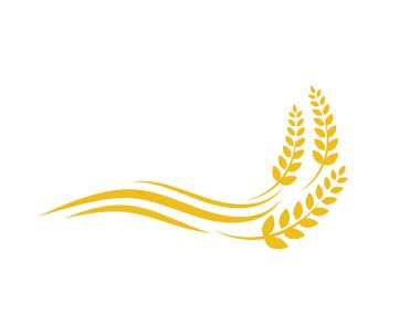 Tarım buğday vektör tasarımı 