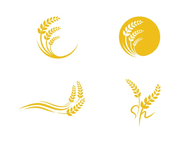 Сільське Господарство Пшениця Векторний Дизайн Значка — стоковий вектор