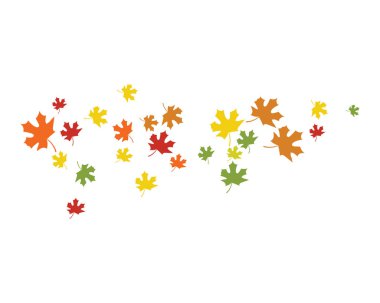 Akçaağaç yaprağı vektör çizim şablonu