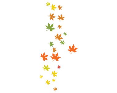 Akçaağaç yaprağı vektör çizim şablonu