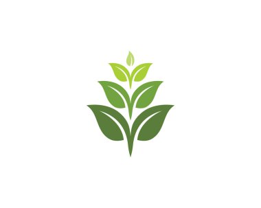 Yeşil ağaç yaprağı ekolojisi logoları